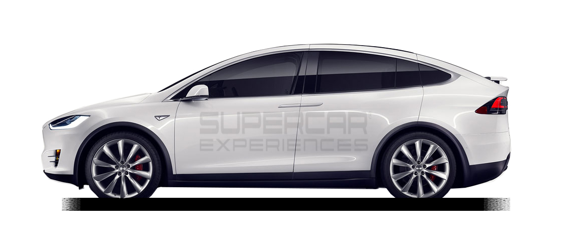 Tesla Model X P100dl